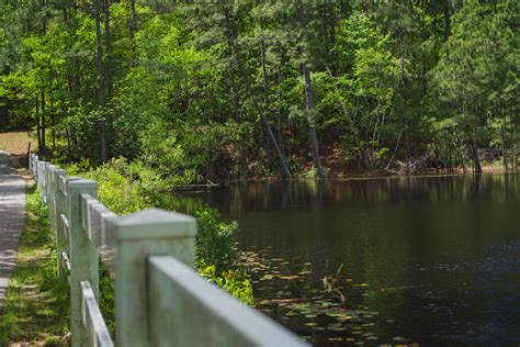 A Detailed Guide For The Cape Fear River Trail In Fayetteville, NC