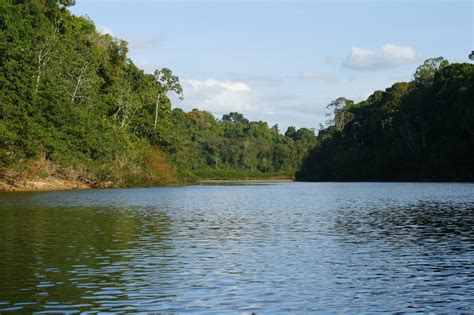 Adventuring South to Rewa – Guyana Times International – The Beacon of Truth