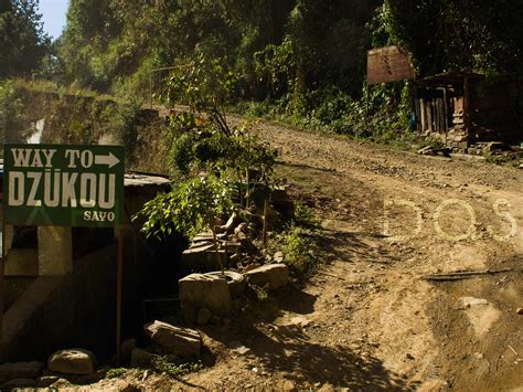 Dzukou Valley Trek to Base Camp | Nagaland | Solitary Traveller