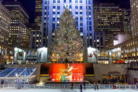 Most beautiful Christmas trees in the world