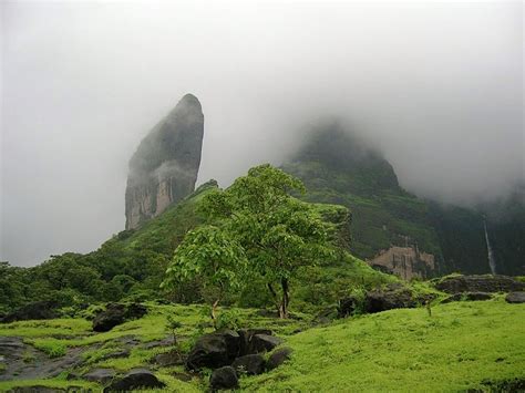 Chandoli National Park