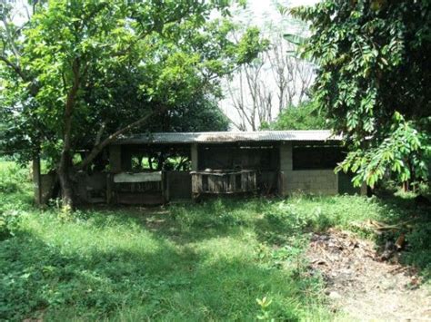 House and Lot For Sale at Calasiao, Pangasinan