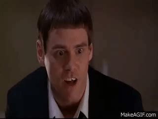 Dumb And Dumber Meme Gif - Captions Quotes