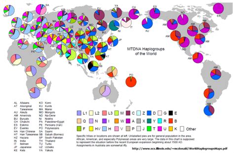 BIBLICAL ANTHROPOLOGY: Haplogroups of Interest to Biblical Anthropologists