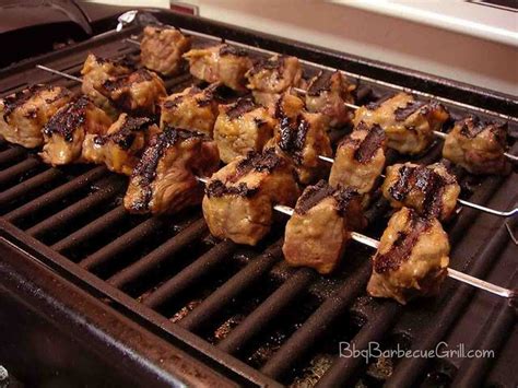 Grill Types, Grill Brands & Barbecue Brands - BBQ, Grill