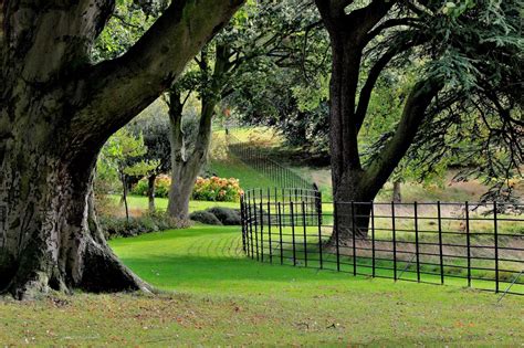 "Gardens at Cusworth Hall, Doncaster" by Tom Curtis at ...