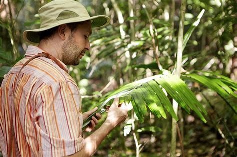 Free Photo | Ecology and environmental conservation. ecologist in panama hat examining leaves of ...