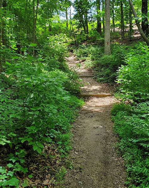 Hiking Trails - Elachee Nature Science Center