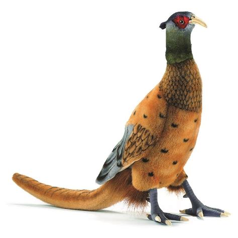 Hansa 3846 14 Medium Pheasant Plush Toy for sale online | eBay | Plush stuffed animals, Animals ...