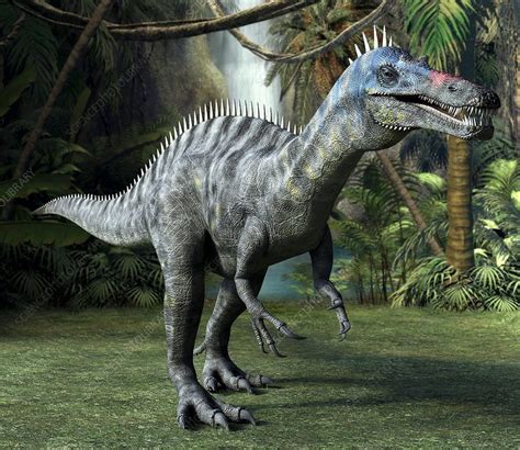 Suchomimus dinosaur, artwork - Stock Image - C001/3806 - Science Photo ...