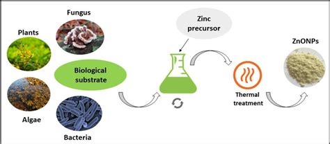 Figure 2 from Green synthesis of zinc oxide nanoparticles: A review of the synthesis methodology ...