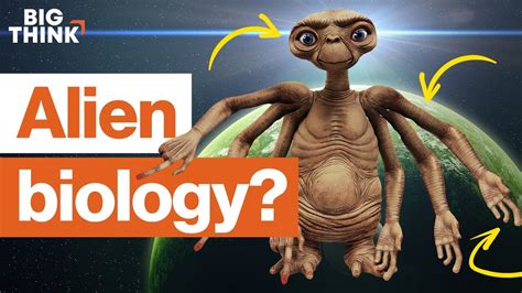 Alien biology: What might ET actually look like? | Michio Kaku, E.O. Wilson, & more | Big Think ...