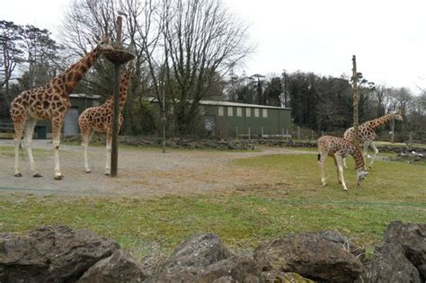 Paignton Zoo - Picture of Paignton Zoo Environmental Park, Paignton - Tripadvisor