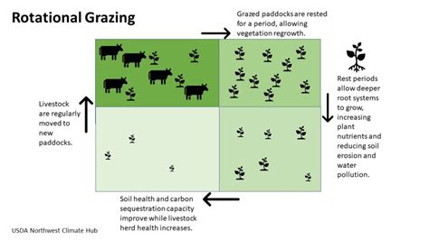 Restoring Depleted Soil - Go Natural Education