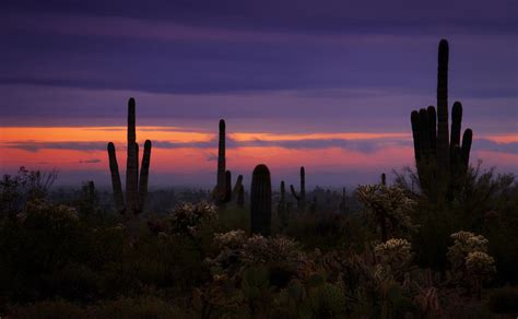 Pink Sunrise Photograph by Saija Lehtonen - Fine Art America