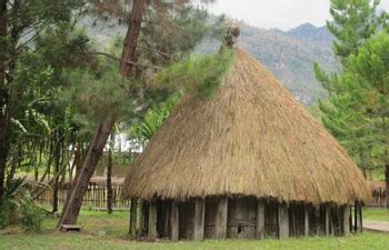 Papuanese Traditional Wooden Houses