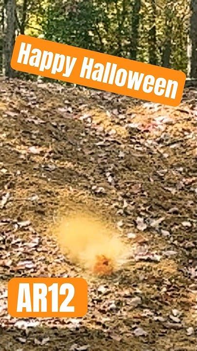 Lil #fun wit #ar12 #shotgun #exploding #pumpkin #fyp #safetyfirst # ...