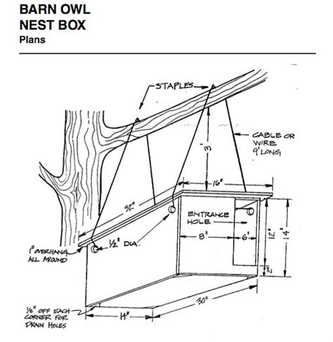 Wooden Barn Owl Birdhouse Plans PDF Plans