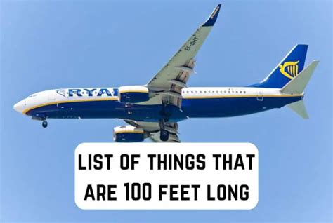 10 Common Things That are 100 Feet Big | Measuringly