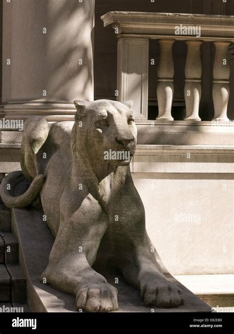 Lioness Statue, The Pierpont Morgan Library & Museum, 36th Street, NYC ...