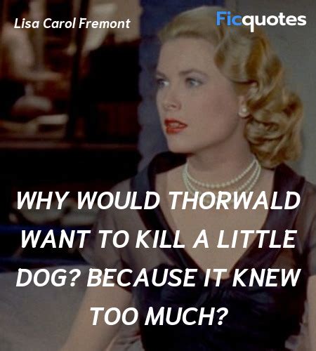 Rear Window Quotes - Top Rear Window Movie Quotes