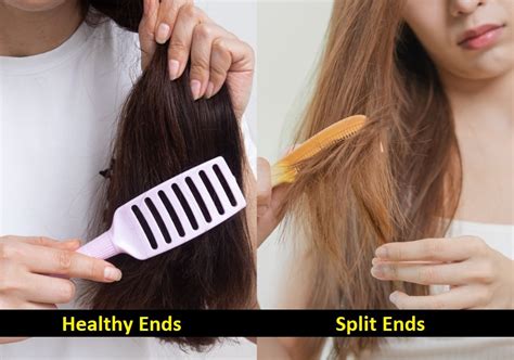 Split Ends vs. Healthy Ends: How To Identify and Get Rid of Splits