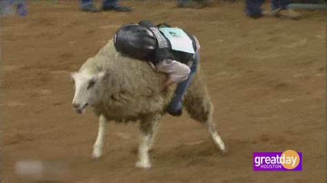 Mutton Bustin’ at The Houston Rodeo | khou.com