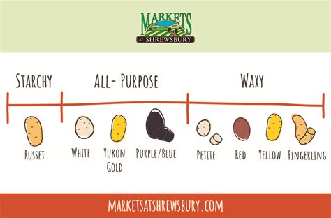 Your Guide to Different Potato Types & Uses