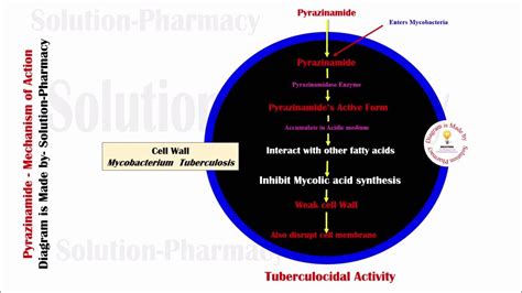 Topic (34) Antitubercular Drug | Pyrazinamide Mechanism of Action | Pyrazinamide Mechanism of ...