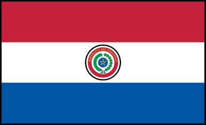 Bandera De Paraguay Actual