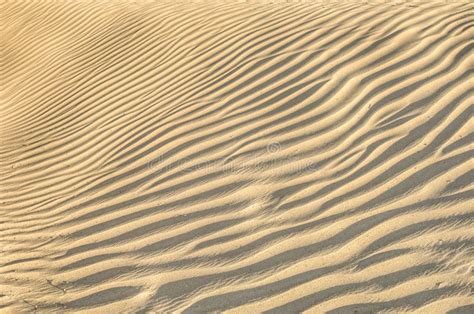 Texture of sand stock image. Image of sandy, shapes, textured - 29966555