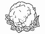 Cauliflower Coloring Pages  Free Printable For Kids sketch template