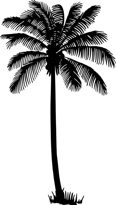 Free Palm Tree Vector Silhouette, Download Free Palm Tree Vector Silhouette png images, Free ...