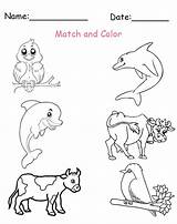 Match And Color The Baby Animals Worksheet sketch template