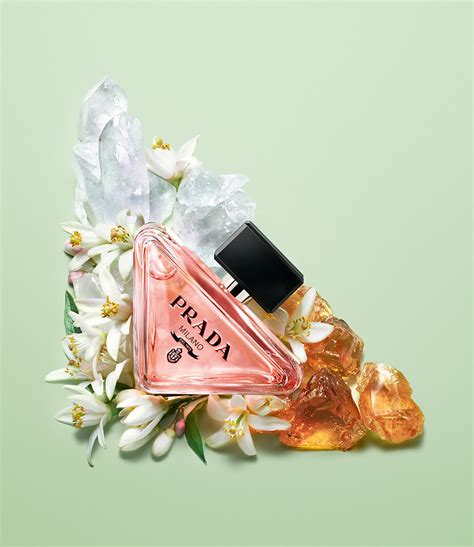 NEW RELEASE Prada Paradoxe Perfume 1.6fl oz - munimoro.gob.pe