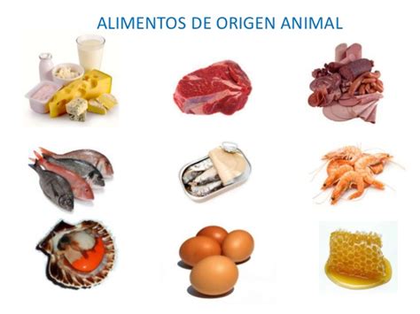 La Clase De Rita - Selaya: Alimentos de origen animal