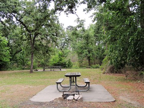 Houston Parks in Pics: Memorial Park Picnic Area