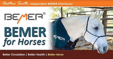 BEMER for Horses - PEMF Equine Therapy for Horses