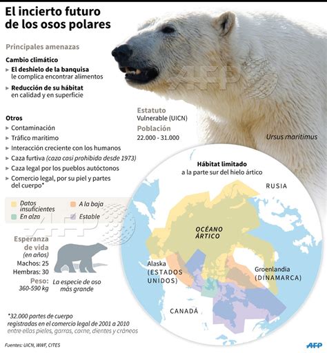 Schwan Kreischen Beginn oso polar habitat Matrose Lautsprecher Verb