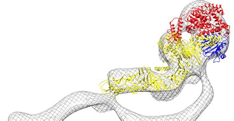 Crystal structure reveals secrets of virulent bacterium | VUMC Reporter | Vanderbilt University