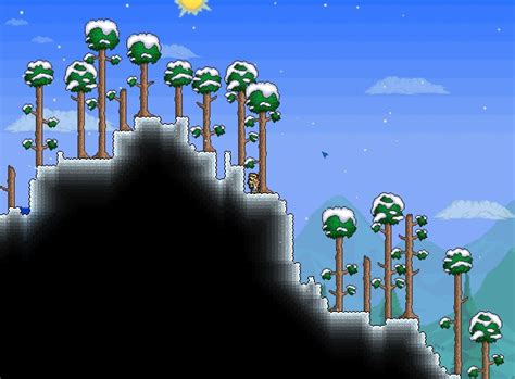 Snow Biome - Terraria Wiki