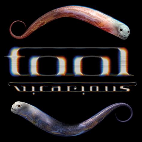 A Kind O' Music!: Tool - Vicarious (2007)