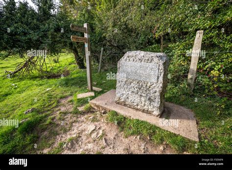 The source of the River Thames in Gloucestershire, UK Stock Photo - Alamy