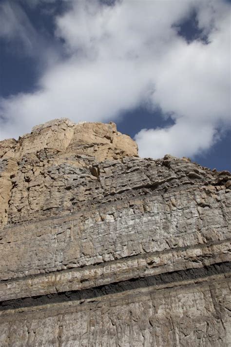 Coal seam, Utah (vertical) – Geology Pics