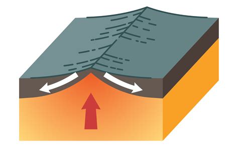 Plate Boundaries Diagram