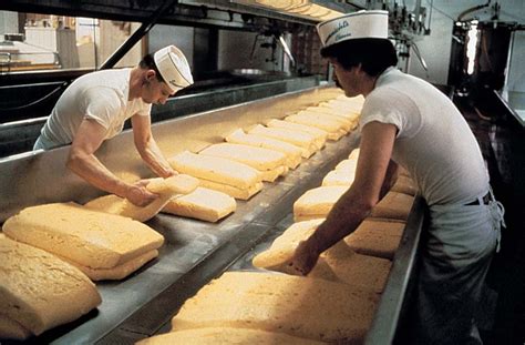 Cheese making | Description, History, Process, Steps, Curdling ...