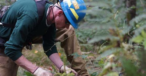 Forestry Field Skills Program Natural Resources Training Group