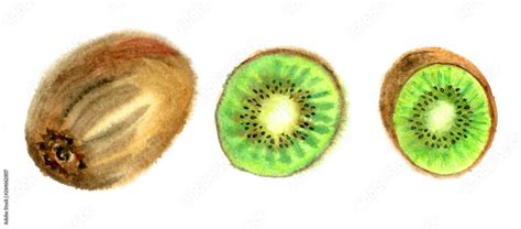 Kiwi fruit, whole and in cut, tropical fruit set, watercolor painting on white background. Stock ...