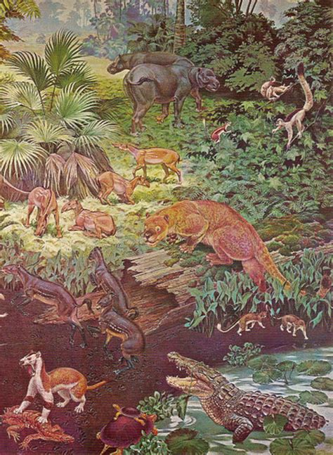 After the Dinosaurs: Life in the Eocene - Owlcation