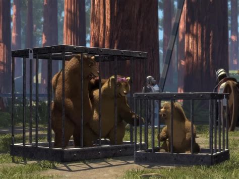 Are these 3 bears separate characters or will this remain a plot hole in the Shrek universe (and ...